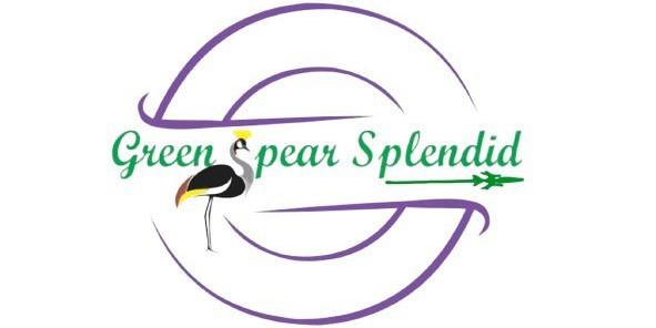 Greens Spear Splendid